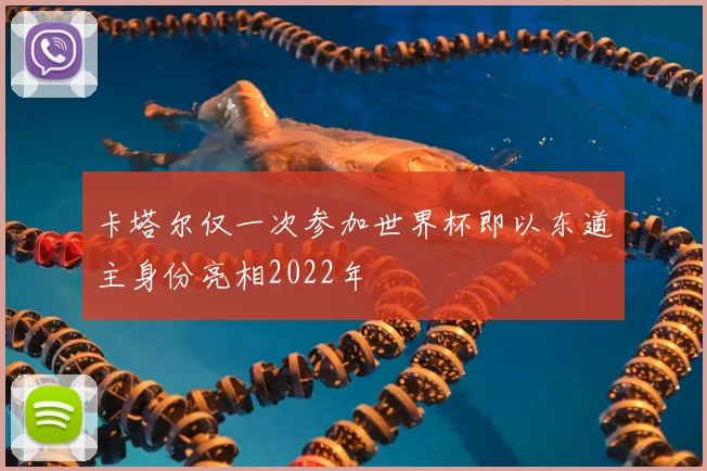 卡塔尔仅一次参加世界杯即以东道主身份亮相2022年