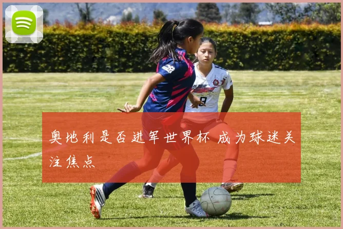 奥地利是否进军世界杯 成为球迷关注焦点