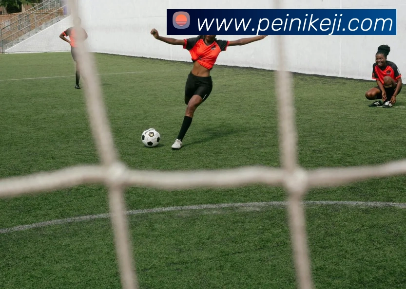 半岛网页版登录入口APP 封面图